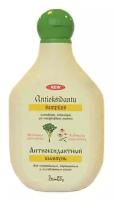 Dzintars шампунь Антиоксидантный для нормальных, окрашенных и ослабленных волос