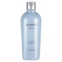 Lebel Cosmetics шампунь Proedit Care Works Through Fit