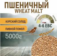 Солод пшеничный wheat ЕВС 4-6 (Курский солод) 5 КГ с помолом