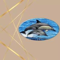 Брошь из коллекции дельфинов Дельфин-белобочка