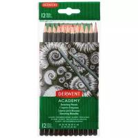 Derwent Набор карандашей чернографитных Academy Sketching Hang Pack 5H-6B, 12 шт (2300412) 12 шт