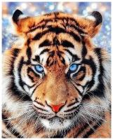 Алмазная вышивка "Взгляд тигра", 40х50 см, Цветной