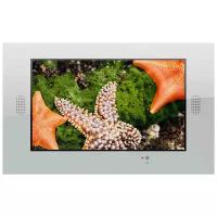 Влагозащищенный телевизор для ванной комнаты AquaView Smart TV 55" со встроенными динамиками, цвета серебристый, зеркальный, черный, белый