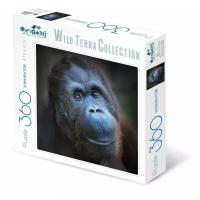 Пазл Origami Wild Terra Collection Огненная обезьяна (01891), элементов: 360 шт