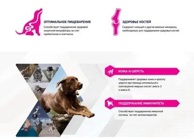 Влажный корм для собак Eukanuba для здоровья кожи и шерсти, ягненок