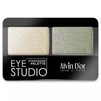 Alvin D'or Палетка теней Eye Studio AES-14 12