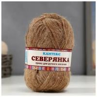 Пряжа "Северянка" 30% шерсть, 5% вербл. шерсть, 65% акрил 150м/100гр (005 бежевый)