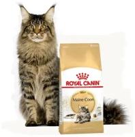 Royal Canin Для Мейн-кун: 1-10 лет (Мaine Coon 31), 4кг