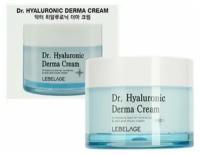 Lebelage Увлажняющий крем для лица с гиалуроновой кислотой / Dr. Hyaluronic Derma Cream, 50 мл