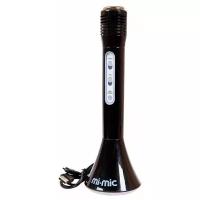 Микрофон DoReMi "Звезда караоке", со встроенным динамиком, черного цвета