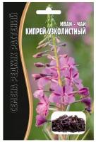 Семена Кипрея узколистного (Иван-чай) (350 семян)