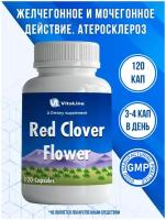 Vitaline, цветки красного клевера (RED CLOVER FLOWER)