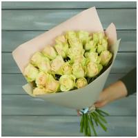 Букет из 25 зелено-розовых роз в упаковке 40см