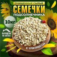 Семечки подсолнечника "Ядро подсолнечника" - 10 кг очищенные сырые семена подсолнечника