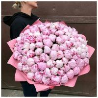 Пионы Розовые 101 шт, красивый букет цветов, шикарный, премиум цветы, пионов