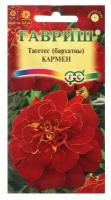 Семена цветов Бархатцы отклоненные (Тагетес) "Кармен", 0,3 г