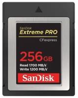 Карта памяти SanDisk Extreme Pro CFexpress Type B 256GB R1700/W1200MB/s (SDCFE-256G-GN4NN)