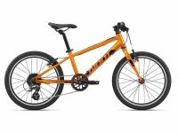 Велосипед Giant ARX 20 (2022) Grenadine
