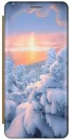 Чехол-книжка на Apple iPhone SE / 5s / 5 / Эпл Айфон 5 / 5с / СЕ с рисунком "Заснеженный лес" золотистый
