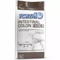 Сухой корм Forza10 ACTIVE INTESTINAL COLON фаза 1 al Pesce, для взрослых собак при хронических колитах и проблемах ЖКТ с рыбой, 4кг