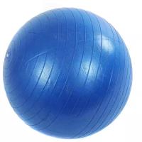 Мяч гимнастический 55 см