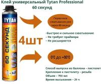 Пена-клей профессиональная Tytan Professional 60 Секунд 750 мл., 8шт