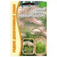 Семена Ячмень гривастый (Hordeum jubatum) (0,1 г)