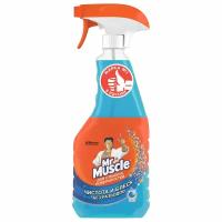 Чистящее средство Профессионал для стекол и поверхностей ТМ Mr. Muscle (Мистер Мускл)