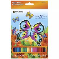 BRAUBERG Карандаши цветные Wonderful butterfly, 18 цветов с блестками (180550)