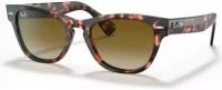 Ray-Ban Laramie RB 2201 133451