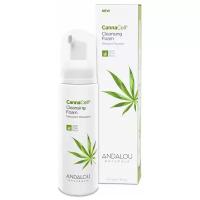 Andalou Naturals очищающая пенка для лица CannaCell