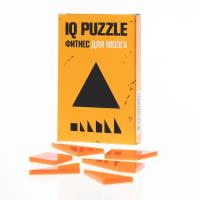 Головоломка IQ PUZZLE Треугольник