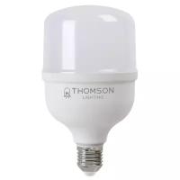 Лампа светодиодная Thomson TH-B2365, E27, T120, 40 Вт, 6500 К