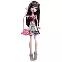 Кукла Monster High Бу Йорк, Бу Йорк Дракулаура, 26 см, CHW55