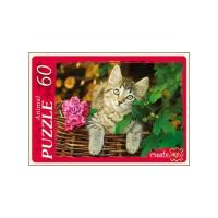 Пазл Рыжий кот Animal Кот в корзине (У60-5914), элементов: 60 шт