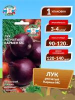 Семена Лук репчатый Кармен МС Среднепоздние 0,5 гр