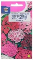 Семена цветов Гвоздика Турецкая "восточная красавица", смесь, 0,2 г