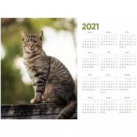 Календарь настенный на 2021 ГОД. "Зеленоглазая кошка"