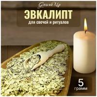 Сухая трава Эвкалипт (лист) для свечей и ритуалов, 5 гр