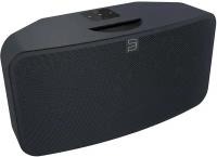 Портативная акустика Bluesound Pulse Mini 2i Black