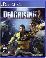 Dead Rising 2 [PS4, русская версия]