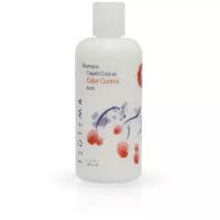 Teotema шампунь Care Capelli Colorati Color Control Bath для окрашенных волос