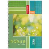 Attache Тетрадь общая Green Nature А4, клетка, отсутствует, 80 л., 1 шт., голубой/зеленый