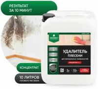 Очиститель PROSEPT Fungi Clean для удаления плесени 5 л