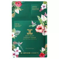 JAYJUN COSMETIC Anti-Dust Therapy Mask Маска очищающая, питательная и успокаивающая