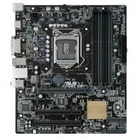 Материнская плата ASUS H110M2 D3