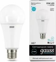 Лампа Gauss LED Elementary A67 25W E27 4100K