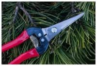 Секатор ARS 300L Fruits Pruner