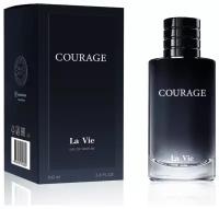 Туалетная вода Dilis Parfum Туалетная вода Courage (Объем 100 мл) - Белорусская косметика