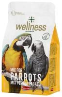 Padovan Wellness Mix for parrots Корм для крупных попугаем, 750 г